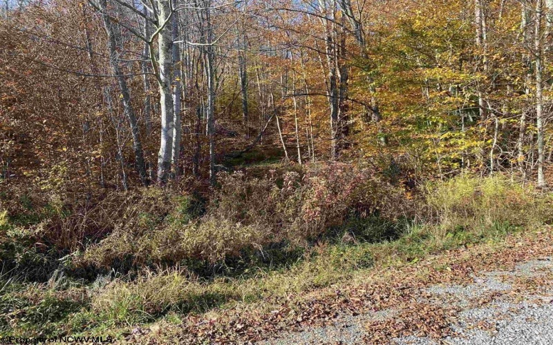 Lot 3 Northlake Drive, Davis, West Virginia 26260-0000, ,Lots/land,For Sale,Northlake,10165564