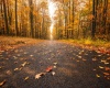 Lot 2 Alpine Drive, Terra Alta, West Virginia 26764, ,Lots/land,For Sale,Alpine,10165571