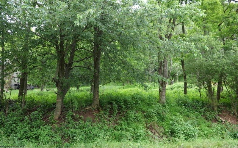 Lot 2 Alpine Drive, Terra Alta, West Virginia 26764, ,Lots/land,For Sale,Alpine,10165571