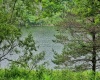 Lot 2 Alpine Drive, Terra Alta, West Virginia 26764, ,Lots/land,For Sale,Alpine,10165571