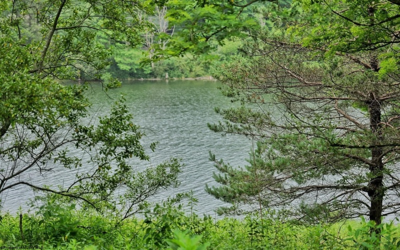 Lot 2 Alpine Drive, Terra Alta, West Virginia 26764, ,Lots/land,For Sale,Alpine,10165571