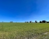 lot 35 Mallow Lake Drive, Davis, West Virginia 26260, 0 , 0 ,0,Lots/land,For Sale,Mallow Lake,0,10165567