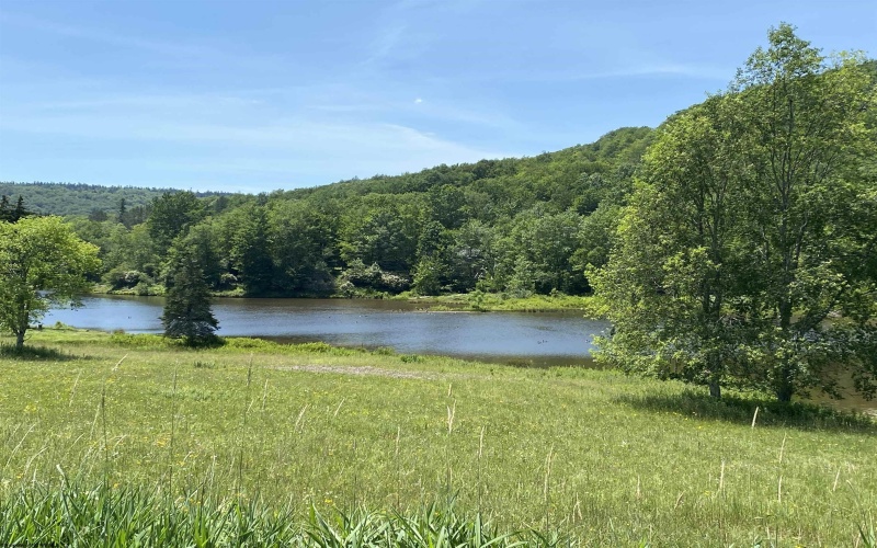 lot 35 Mallow Lake Drive, Davis, West Virginia 26260, ,Lots/land,For Sale,Mallow Lake,10165567