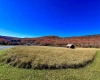 lot 35 Mallow Lake Drive, Davis, West Virginia 26260, 0 , 0 ,0,Lots/land,For Sale,Mallow Lake,0,10165567