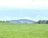 lot 34 Mallow lake Drive, Davis, West Virginia 26260, 0 , 0 ,0,Lots/land,For Sale,Mallow lake,0,10165566