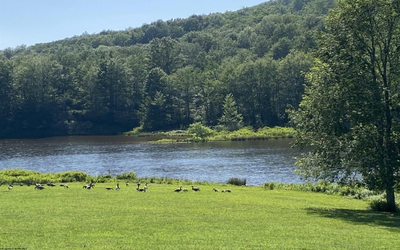 lot 34 Mallow lake Drive, Davis, West Virginia 26260, 0 , 0 ,0,Lots/land,For Sale,Mallow lake,0,10165566