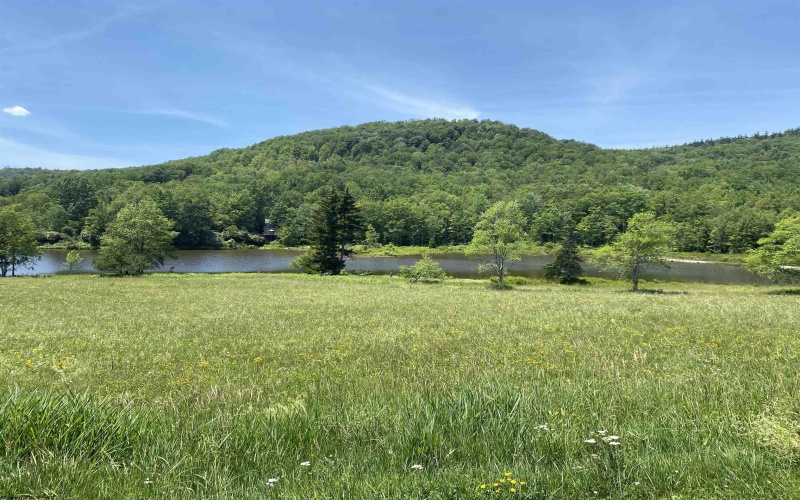 lot 34 Mallow lake Drive, Davis, West Virginia 26260, ,Lots/land,For Sale,Mallow lake,10165566