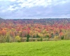 lot 34 Mallow lake Drive, Davis, West Virginia 26260, 0 , 0 ,0,Lots/land,For Sale,Mallow lake,0,10165566