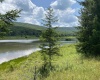 Lot 42 Bobcat Road, Davis, West Virginia 26260, ,Lots/land,For Sale,Bobcat,10165576