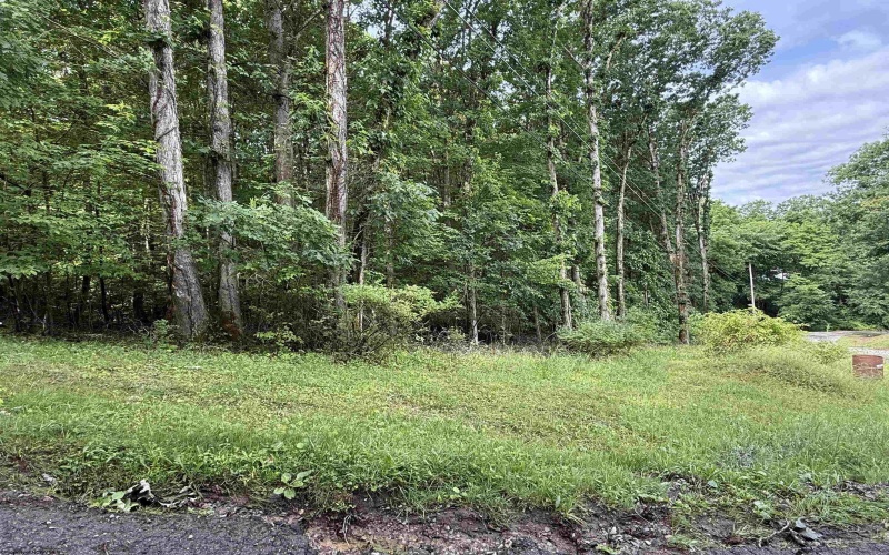 0 Oak Drive, Elkins, West Virginia 26241, ,Lots/land,For Sale,Oak,10165578