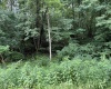 0 Oak Drive, Elkins, West Virginia 26241, ,Lots/land,For Sale,Oak,10165578
