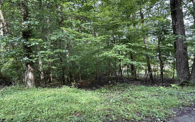 0 Oak Drive, Elkins, West Virginia 26241, ,Lots/land,For Sale,Oak,10165578