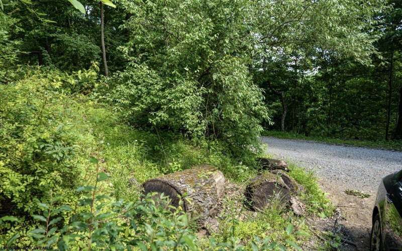 Lot 1 Sycamore Fork Road, Wallace, West Virginia 26448, ,Lots/land,For Sale,Sycamore Fork,10165585