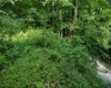 Lot 1 Sycamore Fork Road, Wallace, West Virginia 26448, ,Lots/land,For Sale,Sycamore Fork,10165585