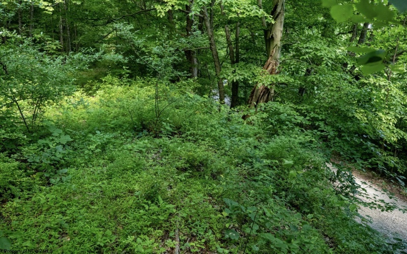 Lot 1 Sycamore Fork Road, Wallace, West Virginia 26448, ,Lots/land,For Sale,Sycamore Fork,10165585