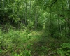 Lot 1 Sycamore Fork Road, Wallace, West Virginia 26448, ,Lots/land,For Sale,Sycamore Fork,10165585