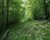Lot 1 Sycamore Fork Road, Wallace, West Virginia 26448, ,Lots/land,For Sale,Sycamore Fork,10165585