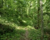 Lot 1 Sycamore Fork Road, Wallace, West Virginia 26448, ,Lots/land,For Sale,Sycamore Fork,10165585