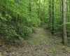 Lot 1 Sycamore Fork Road, Wallace, West Virginia 26448, ,Lots/land,For Sale,Sycamore Fork,10165585