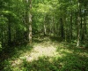Lot 1 Sycamore Fork Road, Wallace, West Virginia 26448, ,Lots/land,For Sale,Sycamore Fork,10165585