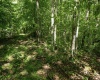 Lot 1 Sycamore Fork Road, Wallace, West Virginia 26448, ,Lots/land,For Sale,Sycamore Fork,10165585