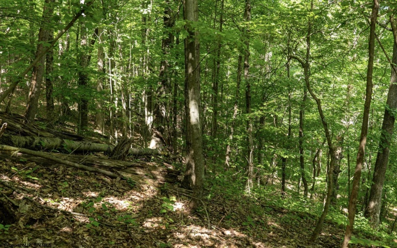 Lot 1 Sycamore Fork Road, Wallace, West Virginia 26448, ,Lots/land,For Sale,Sycamore Fork,10165585