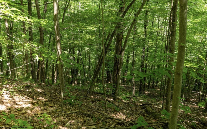 Lot 1 Sycamore Fork Road, Wallace, West Virginia 26448, ,Lots/land,For Sale,Sycamore Fork,10165585