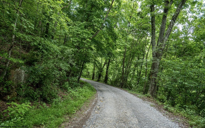Lot 1 Sycamore Fork Road, Wallace, West Virginia 26448, ,Lots/land,For Sale,Sycamore Fork,10165585