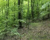 Lot 1 Sycamore Fork Road, Wallace, West Virginia 26448, ,Lots/land,For Sale,Sycamore Fork,10165585
