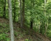 Lot 1 Sycamore Fork Road, Wallace, West Virginia 26448, ,Lots/land,For Sale,Sycamore Fork,10165585