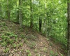 Lot 1 Sycamore Fork Road, Wallace, West Virginia 26448, ,Lots/land,For Sale,Sycamore Fork,10165585