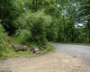 Lot 1 Sycamore Fork Road, Wallace, West Virginia 26448, ,Lots/land,For Sale,Sycamore Fork,10165585