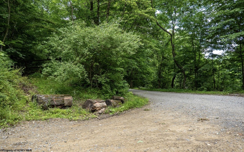 Lot 1 Sycamore Fork Road, Wallace, West Virginia 26448, ,Lots/land,For Sale,Sycamore Fork,10165585