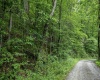 Lot 1 Sycamore Fork Road, Wallace, West Virginia 26448, ,Lots/land,For Sale,Sycamore Fork,10165585