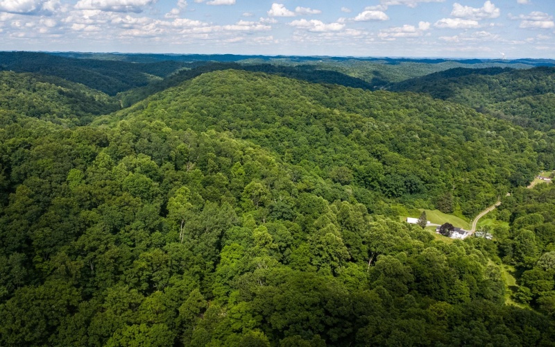 Lot 1 Sycamore Fork Road, Wallace, West Virginia 26448, ,Lots/land,For Sale,Sycamore Fork,10165585