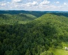 Lot 1 Sycamore Fork Road, Wallace, West Virginia 26448, ,Lots/land,For Sale,Sycamore Fork,10165585