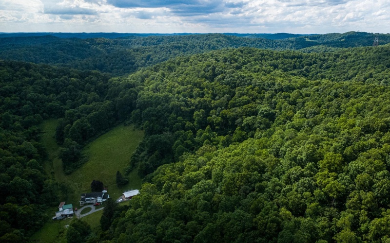 Lot 1 Sycamore Fork Road, Wallace, West Virginia 26448, ,Lots/land,For Sale,Sycamore Fork,10165585