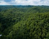 Lot 1 Sycamore Fork Road, Wallace, West Virginia 26448, ,Lots/land,For Sale,Sycamore Fork,10165585