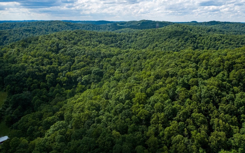 Lot 1 Sycamore Fork Road, Wallace, West Virginia 26448, ,Lots/land,For Sale,Sycamore Fork,10165585
