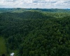 Lot 1 Sycamore Fork Road, Wallace, West Virginia 26448, ,Lots/land,For Sale,Sycamore Fork,10165585