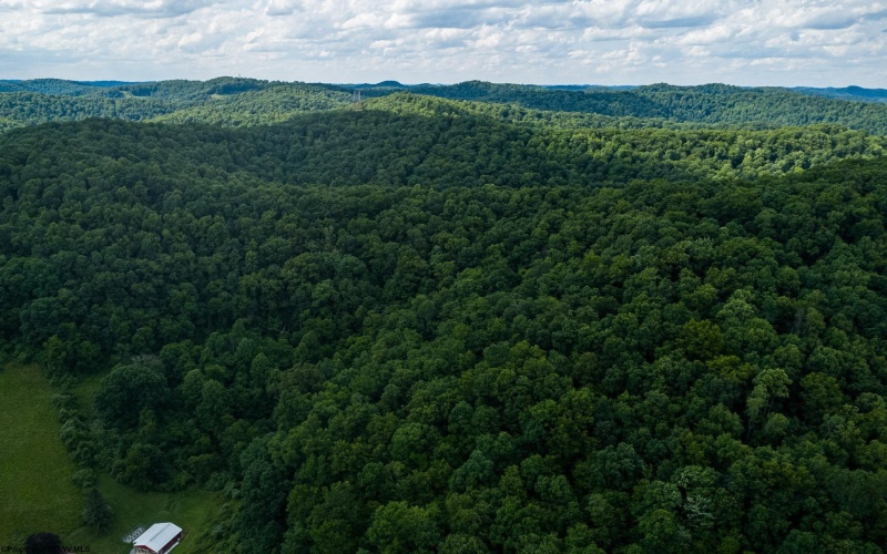 Lot 1 Sycamore Fork Road, Wallace, West Virginia 26448, ,Lots/land,For Sale,Sycamore Fork,10165585