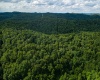Lot 1 Sycamore Fork Road, Wallace, West Virginia 26448, ,Lots/land,For Sale,Sycamore Fork,10165585