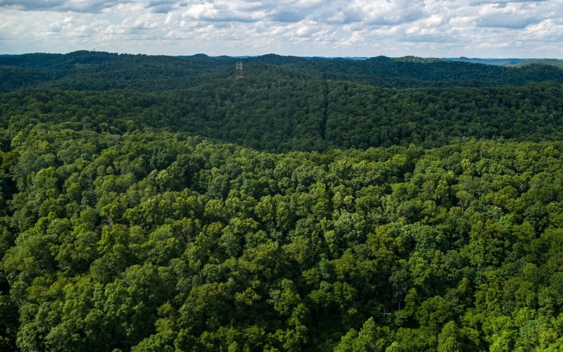Lot 1 Sycamore Fork Road, Wallace, West Virginia 26448, ,Lots/land,For Sale,Sycamore Fork,10165585