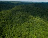 Lot 1 Sycamore Fork Road, Wallace, West Virginia 26448, ,Lots/land,For Sale,Sycamore Fork,10165585