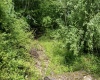 Lot 1 Sycamore Fork Road, Wallace, West Virginia 26448, ,Lots/land,For Sale,Sycamore Fork,10165585