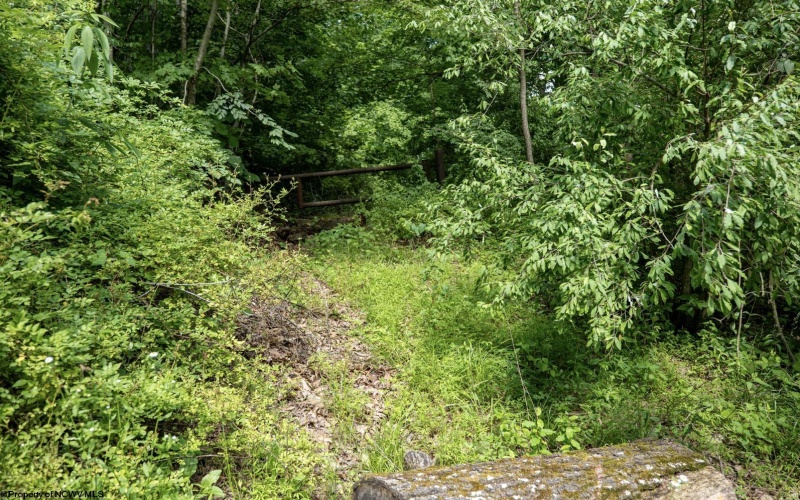 Lot 1 Sycamore Fork Road, Wallace, West Virginia 26448, ,Lots/land,For Sale,Sycamore Fork,10165585