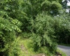 Lot 1 Sycamore Fork Road, Wallace, West Virginia 26448, ,Lots/land,For Sale,Sycamore Fork,10165585