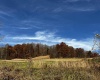 2878 Mackeyville Road, Hambleton, West Virginia 26269, ,Lots/land,For Sale,Mackeyville,10149642 2878 Mackeyville Road, Hambleton, West Virginia 26269, ,Lots/land,For Sale,Mackeyville,10149642