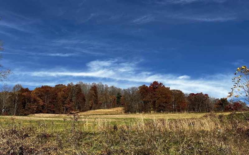 2878 Mackeyville Road, Hambleton, West Virginia 26269, ,Lots/land,For Sale,Mackeyville,10149642 2878 Mackeyville Road, Hambleton, West Virginia 26269, ,Lots/land,For Sale,Mackeyville,10149642
