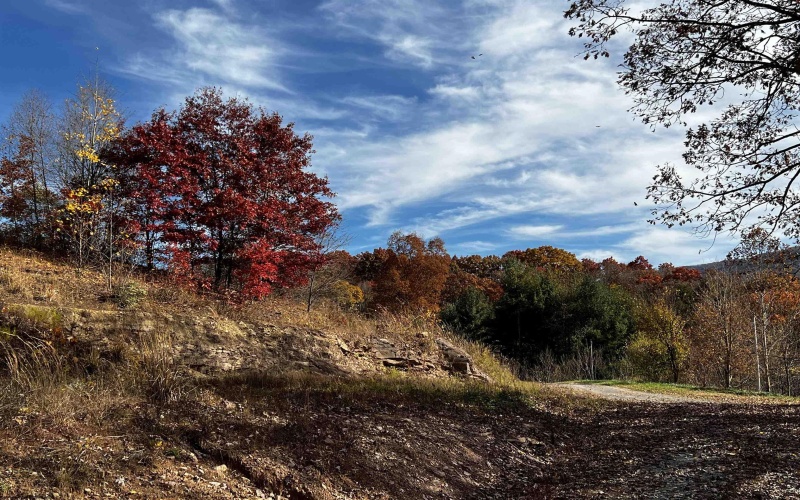 2878 Mackeyville Road, Hambleton, West Virginia 26269, ,Lots/land,For Sale,Mackeyville,10149642 2878 Mackeyville Road, Hambleton, West Virginia 26269, ,Lots/land,For Sale,Mackeyville,10149642